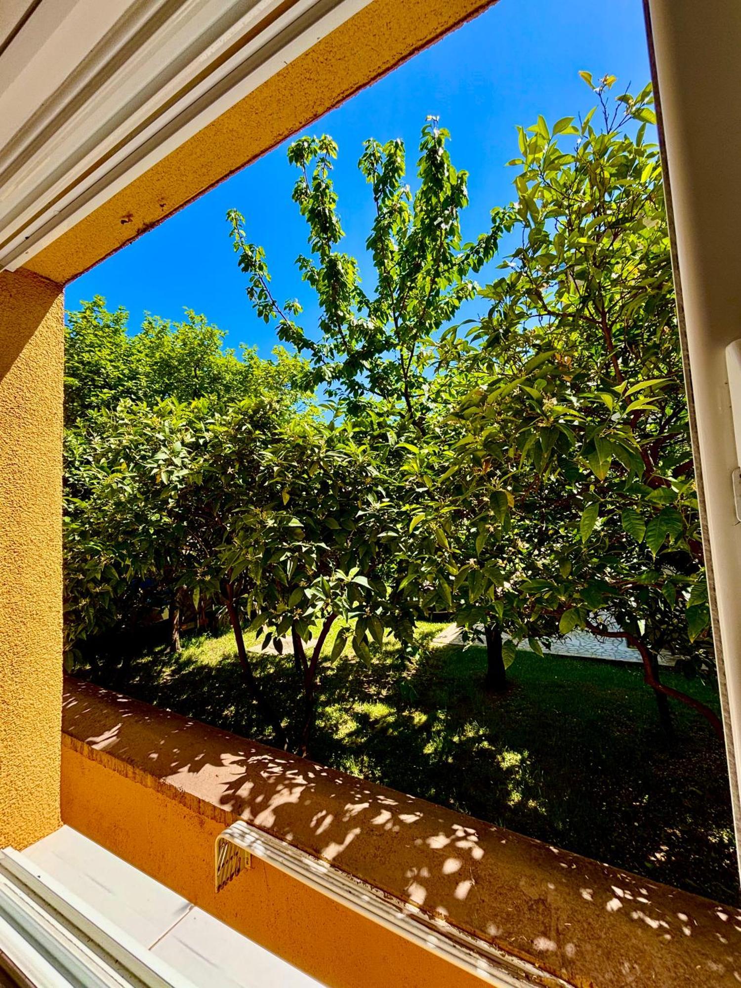 Apartments Ds Club Budva Exterior foto